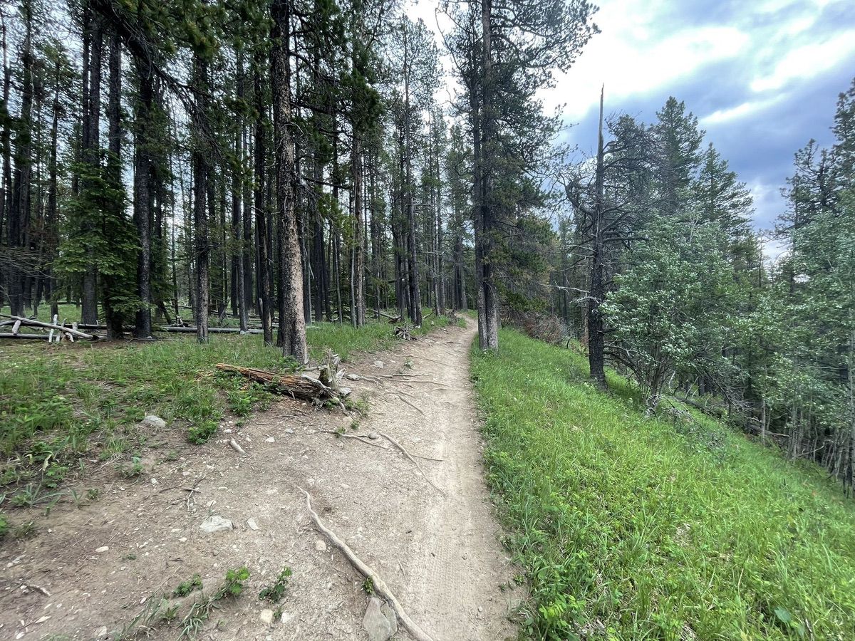 Boundary Ridge trail in Bragg Creek, AB