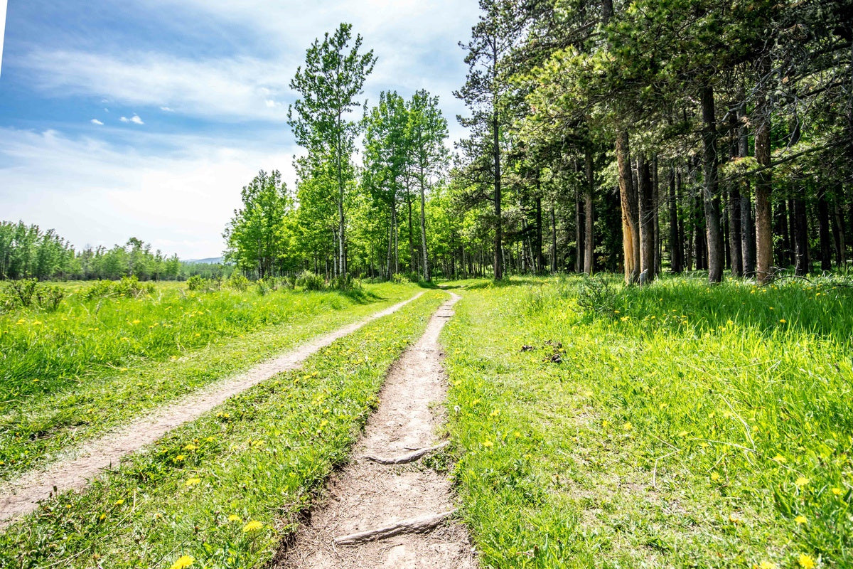 Bike trail in Bragg Creek, Alberta