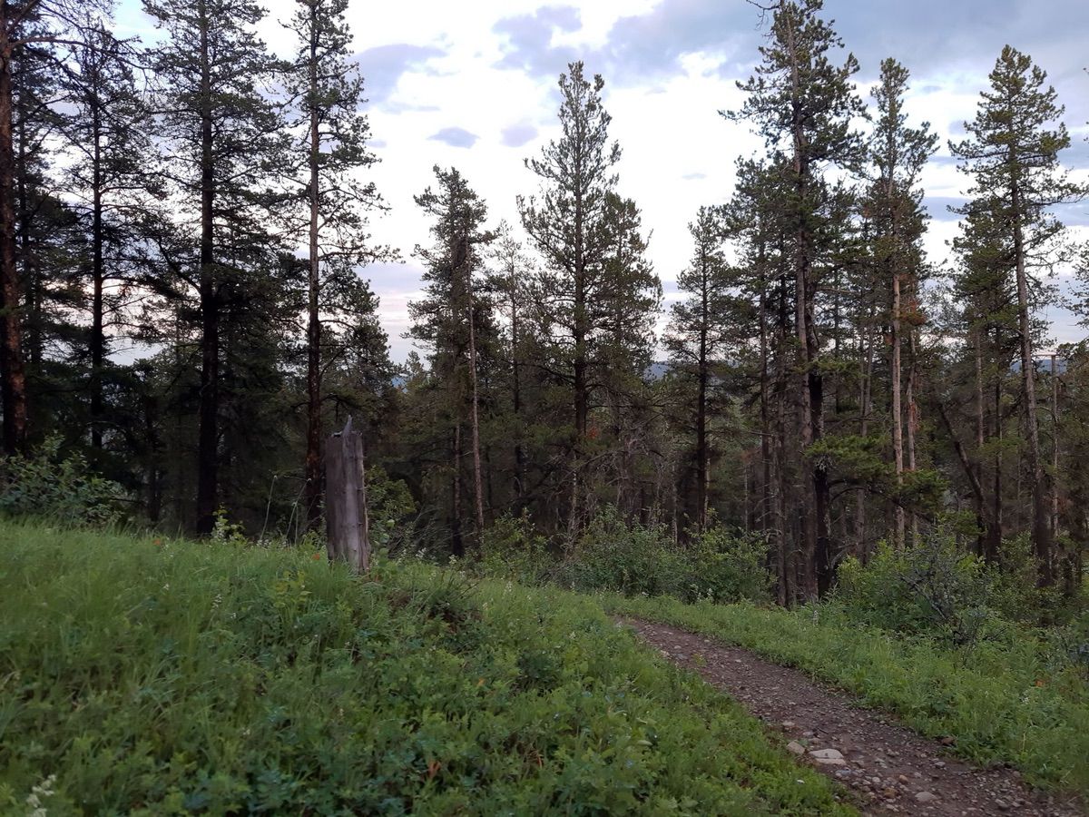 Southern Flow Trail in Bragg Creek, AB