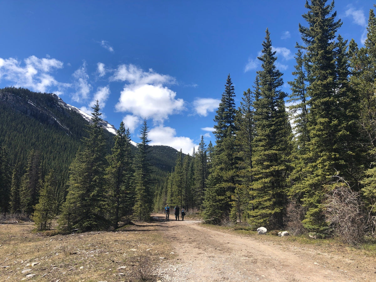 Bike trail in Kananaskis Country via Bragg Creek, Alberta