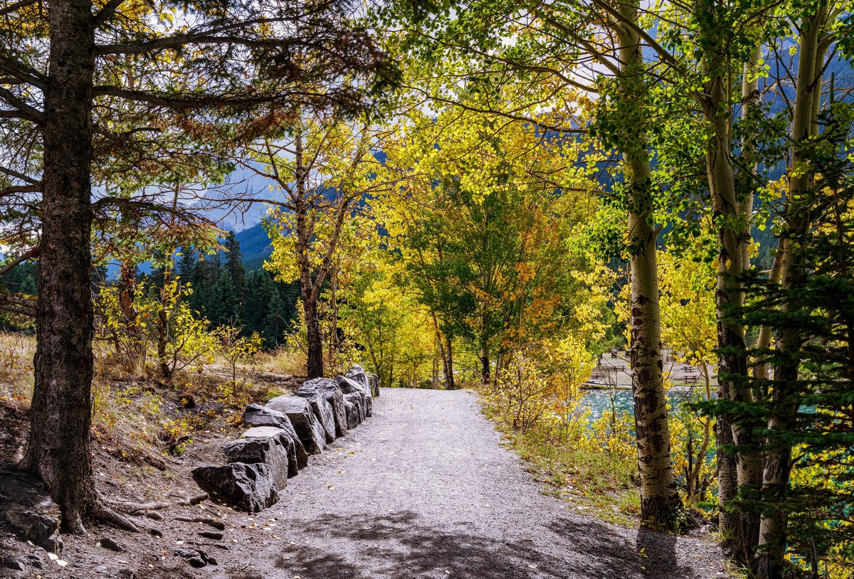 Rocky Mountain Bike trail from Canmore to Banff