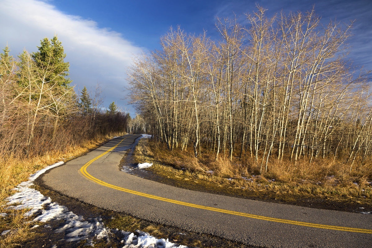 Bike path through Glenmore Reservoir
