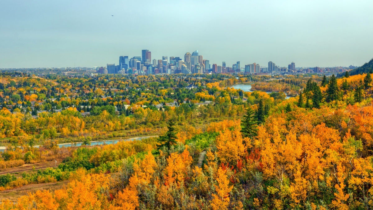 View of Calgary skyline from Edworthy Park