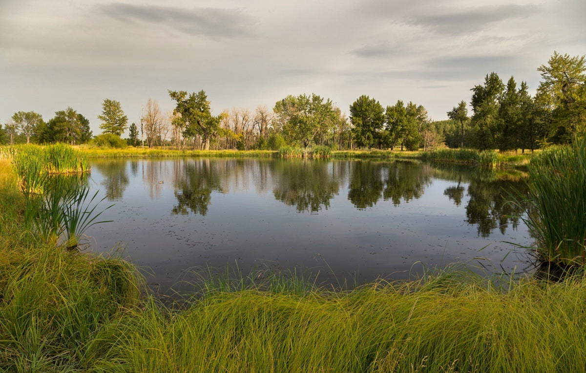 Fish Creek Park