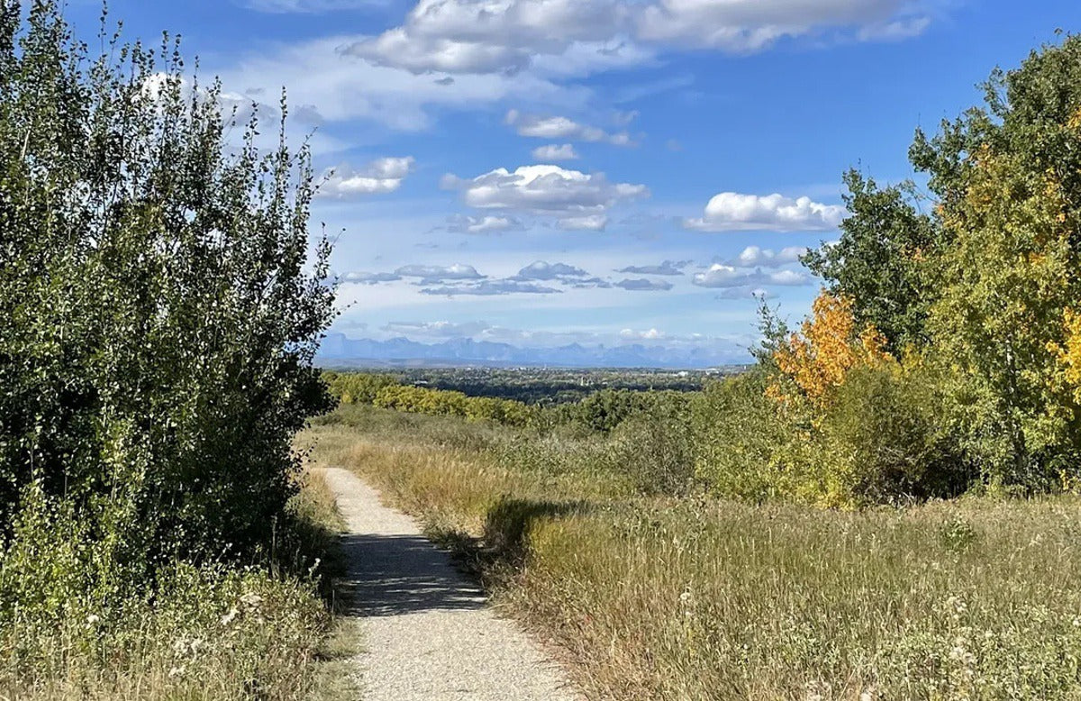 East Nose Hill Bike Loop from Edgemont Boulevard in Calgary