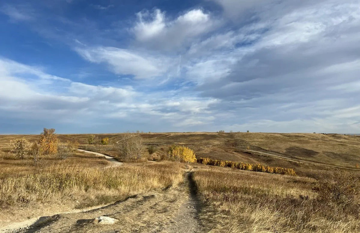 Nose Hill Loop from 14th Street Calgary