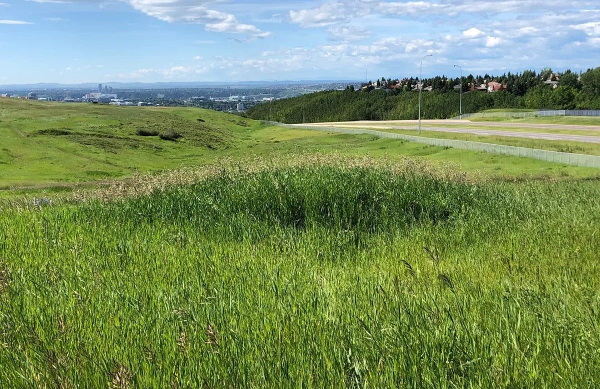 Nose Hill Perimeter Loop from Brisebois Drive Calgary