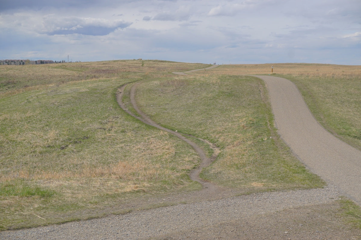 Gerry’s Trail at Nose Hill Park Calgary